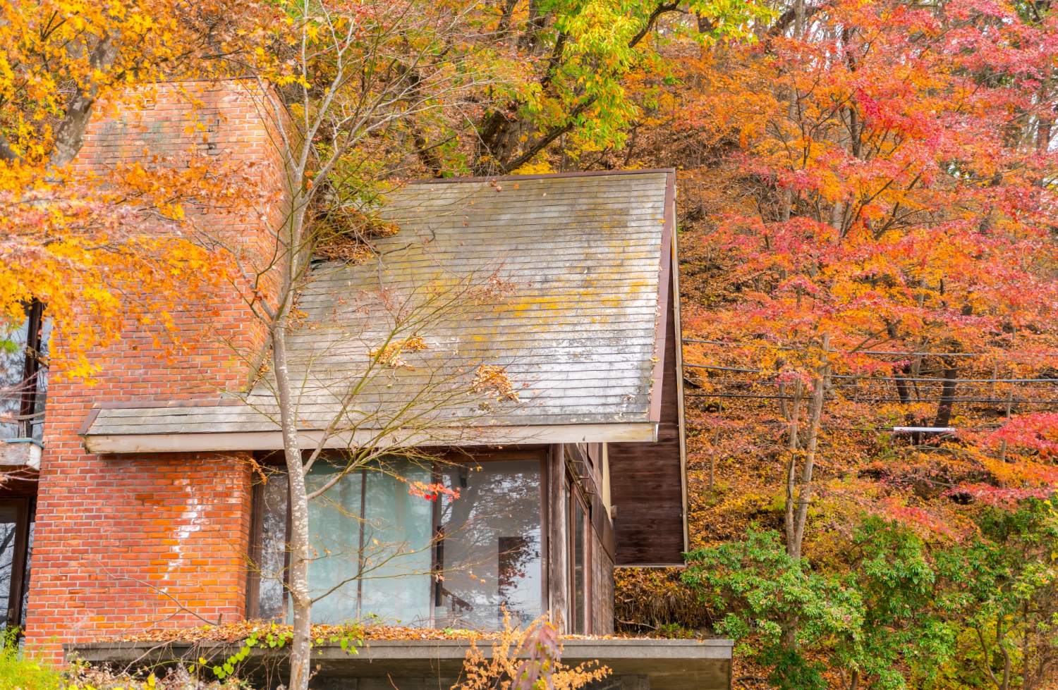 Maple Ridge Gutter Services FAQ Gutter services team in Maple Ridge, BC